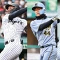 阪神、育成6選手に戦力外通告　伊藤稜＆助っ人は3人…ナイター直前、球団発表