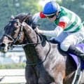 【京都大賞典】25年天皇賞(春)覇者のヘデントール 1年5カ月ぶりの勝利なるか
