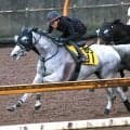 【京都大賞典】芦毛のアクアヴァーナルが秋初戦で初タイトルへ　四位調教師「いいスタートを切ってほしい」