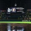 【ヤクルト】甲子園での阪神戦が中止　両球団とも試合予定なしは10月５日以降　もう１度関西遠征か