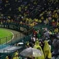 「甲子園胴上げはどうなるん？」阪神雨天中止でファンがやきもき　巨人の勝敗次第で甲子園Ｖが遠のく可能性も