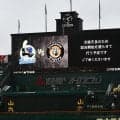 【阪神】29日中止のヤクルト戦、振り替え試合はどこに入るのか　候補日となるのは…