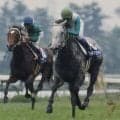 王者メジロマックイーンが圧巻のレコードV 93年京都大賞典を回想
