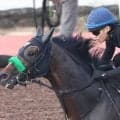 【毎日王冠】サトノシャイニングが長欠明けを叩き上昇気配　杉山晴調教師「ガス抜きができた」