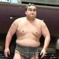 朝阪神と３１代横綱・常ノ花の玄孫ら９人が引退…日本相撲協会が発表