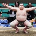 矢後、出羽ノ城、朝阪神、房州山ら９人　日本相撲協会が引退力士発表