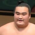 朝阪神が現役引退、愛する阪神にエール「日本一を目指してほしい」金本知憲氏ばりに１０年半“無休”貫く【大相撲】