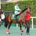 重賞２勝のエヒトが競走馬登録を抹消　北海道日高町の白井牧場で繋養される予定