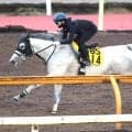 【京都大賞典】京都巧者のアクアヴァーナルはテンポの良い脚さばき　四位調教師「動きも軽やか」