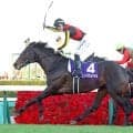 「秋どうすんだ？」「涙が止まらん」Ｃデムーロ騎手の新コンビ結成→話題急上昇のＧ１馬にネット悲喜こもごも