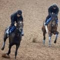 【毎日王冠】併せ馬の遅れは想定内のホウオウビスケッツ　奥村武調教師「余力を持ってという感じで予定通り」