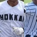 秋季北海道大会の組み合わせ決定！北海、東海大札幌が同ブロックに！【26年秋高校野球】