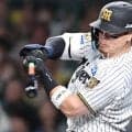 阪神・佐藤輝明が衝撃の３８号２ラン　弾丸ライナーで右翼席へ運ぶ　甲子園大歓声