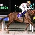 【日本テレビ盃】３馬身差圧勝！　１番人気のミッキーファイトが重賞７勝目　戸崎圭太騎手「さらに良くなっている」