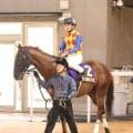 【日本テレビ盃】テーオーマルコーニがしぶとく伸びて２着　岩田望来騎手「まだ４歳だし、これからもっとやれる」