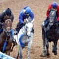 【毎日王冠】リアライズシリウス初の対古馬へ鞍上の津村明秀騎手「だいぶ体も締まってきています。好位で強気に乗りたいですね」