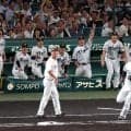 阪神　大山悠輔の１９号ソロに喜び爆発のナイン　元山がめっちゃ跳んでる！チームの雰囲気示した一枚　初回の悪い流れを一蹴
