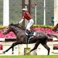 競馬中継で大活躍の４３歳アナが突然の退社…「すごくショック」の声多数　「ラジオＮＩＫＫＥＩ」大関隼アナ退社、今後についても言及