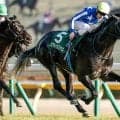 【毎日王冠出走馬・騎手確定】リアライズシリウス＆津村明秀騎手、ライヒスアドラー＆佐々木大輔騎手など17頭