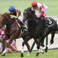 【京都大賞典出走馬・騎手確定】ダノンシーマ＆川田将雅騎手、アクアヴァーナル＆松山弘平騎手など18頭