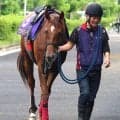 【注目馬動向】サウンドモリアーナは阪神Ｃを視野　エーティーマクフィは連覇のかかる京阪杯へ
