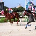 【阪神アーバン競馬】オマツリオトコが大外強襲で重賞連勝　重賞２２１勝目の吉原寛人騎手「エンジンがかかってからがすごい」