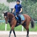 【注目馬動向】ポートアイランドＳを完勝したダノンセンチュリーは１１月２８日のキャピタルＳへ　宮田調教師が発表