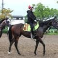 【ＰＯＧ】近親にオークス馬のジョーティスはルメール騎手でデビュー　手塚久調教師「良血馬らしさが出てきた」