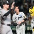 阪神・藤川監督　「初回から最後まで集中力は本当に高かった」大山「非常にスイングも状態がいいですしね。本当に心強い」【一問一答】