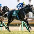 【毎日王冠枠順確定】リアライズシリウスは1枠2番、ライヒスアドラーは3枠6番