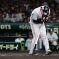 死球後の対応が「素敵」　塁上での“紳士行動”にほっこり「阪神ファンだけど好きになってしまった」