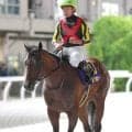 【ジャパンダートクラシック】シルバーレシオが新コンビの横山武史騎手と坂路で初コンタクト　「リズムが大事に…」