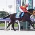 【船橋競馬】素質馬２頭が新馬戦勝ち上がり　篠谷葵騎手「現状、言うことなし」　笠野雄大騎手「負ける気がしなかった」