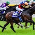 セレクト4.1億円の超良血 ジーティーギャングが松山弘平騎手で初陣だ