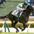 【サウジアラビアRC想定馬・騎手】フィリオソラーレ、ギブリなど12頭