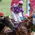 【秋華賞想定馬・騎手】ジュウリョクピエロ、モンローウォークなど18頭