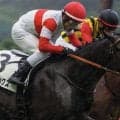 三冠牝馬リバティアイランドの半弟 ダノンダックスが今度こそ初勝利なるか