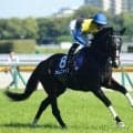 【アイルランドT想定馬・騎手】カムニャック、セキトバイーストなど16頭