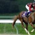 【JDC】ダート三冠最終戦にホリエモン愛馬・イッテラッシャイなど出走予定