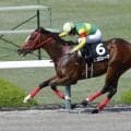 【東京盃】エコロレーヴ、サトノボヤージュなどJRA馬5頭