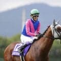 【凱旋門賞】武豊メイショウタバルは13番ゲート、アドマイヤテラは12番…日本勢外枠へ、前年覇者ダリズは5番ゲートから