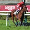 武豊騎手が仏サンクルー競馬場のリステッド競走で９着「思ったより馬場がやわらかかった」
