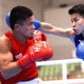 ボクシング・山口瑠が金メダル　バンタム級の階級区分では日本勢５２年ぶり...アジア大会