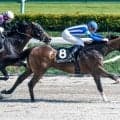 【今日の注目ポイント】グリーンチャンネルCでルヴァレドクールが4連勝を狙う