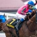 グリーンチャンネルCはストームキャット系が好相性 3歳馬にも注目