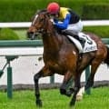 全姉は名牝ディアドラ イベントホライゾンは確勝期す一戦だ