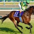 伯父は名馬サトノダイヤモンド ヴァルカモニカがC.ルメール騎手で新馬勝ち狙う