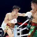 【ボクシング】ＷＢＣ最新世界ランク発表　那須川天心は３位、坪井智也は２位に後退　西田凌佑は４位にランクイン