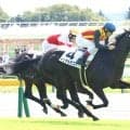 【東京２Ｒ】良血インテルラゴスが上がり３２秒７の豪脚で初Ⅴ　ルメール騎手「すごくいい脚を使ってくれた」
