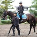 【注目馬動向】オールカマー１１着のコスモキュランダは２年連続で天皇賞・秋参戦へ